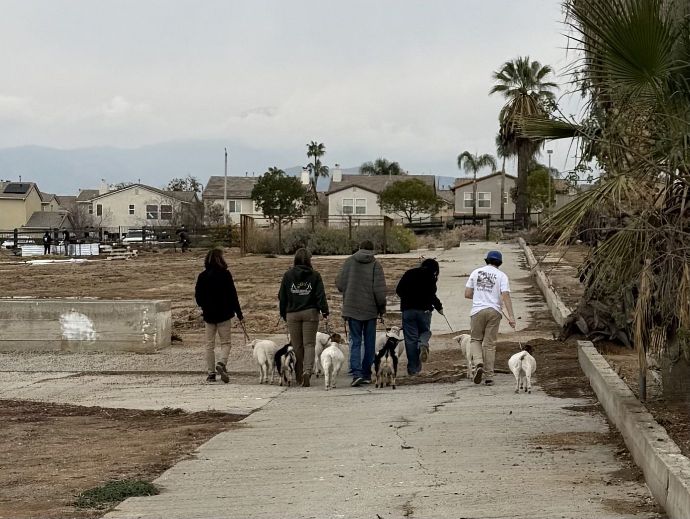 The Power of Walking